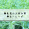 離乳食　大根の葉