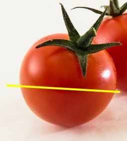 tomato