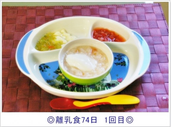 rinyu741