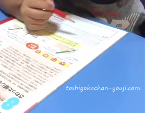 幼児ポピーあかどり