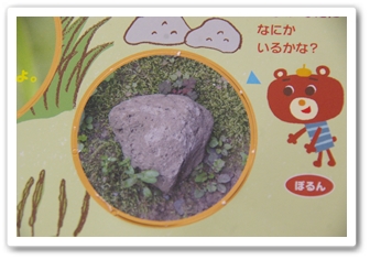 幼児ポピーあかどり