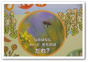 幼児ポピーあかどり