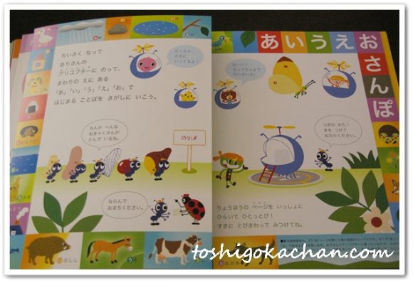 幼児ポピー　きいどり