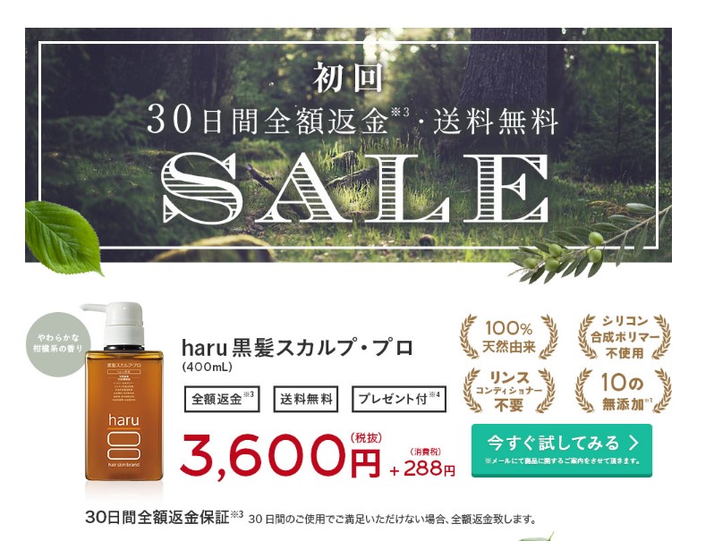 haru公式
