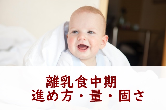 離乳食中期進め方