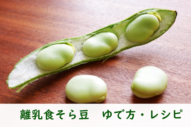 離乳食そら豆