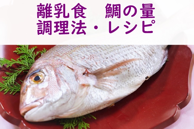 離乳食 鯛