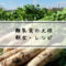 離乳食　大根