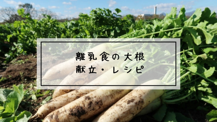離乳食　大根