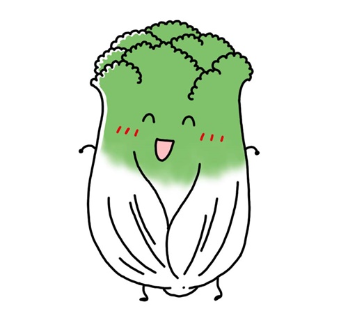 離乳食 白菜