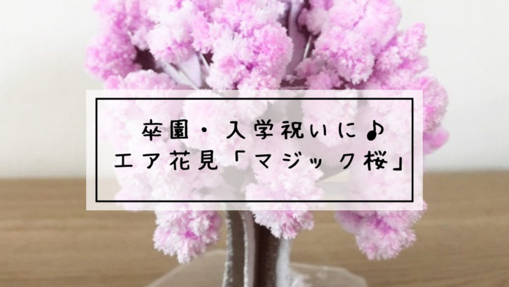 マジック桜