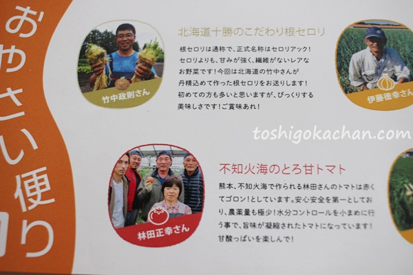 カインデスト ベビーフード（旧ミタス）　離乳食