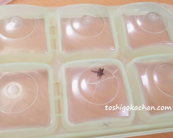 離乳食フリージング