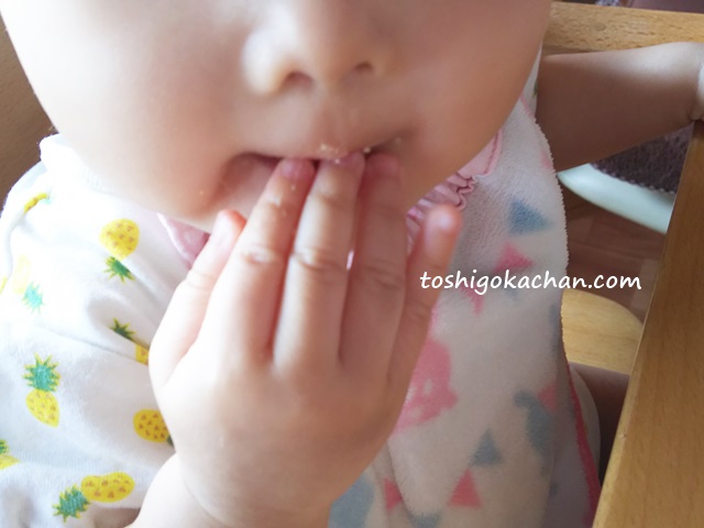離乳食　ミニサンド