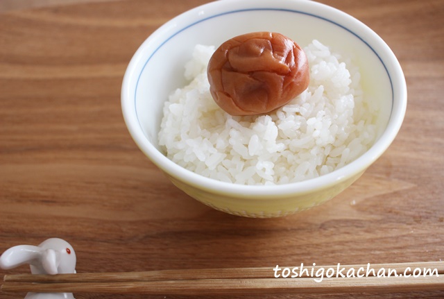 腸活米