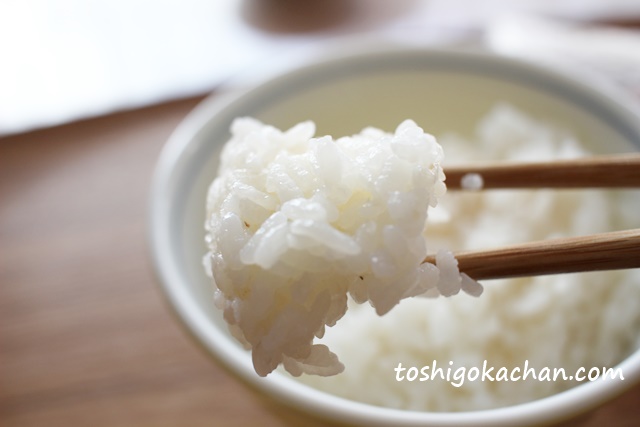 腸活米
