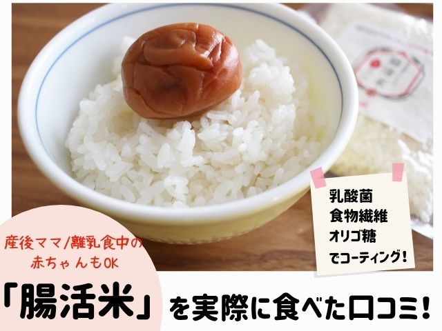腸活米